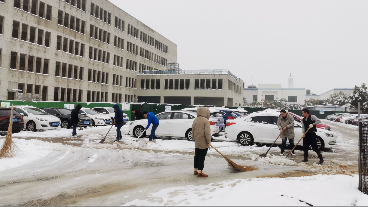 雪绽琼花日 扫雪暖心时丨9U平台开展扫雪除冰活动
